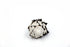 black and white murex shell
